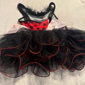 Size 4/5 girl costume.